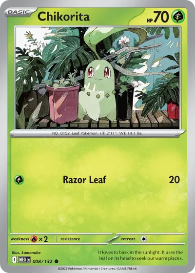 8 Chikorita Mega Evolution 2025