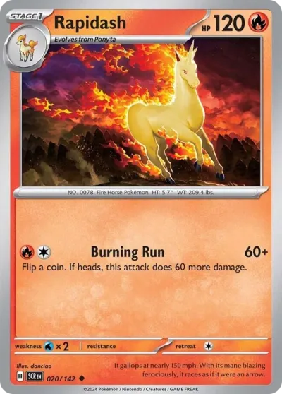 20 Rapidash Stellar Crown 2024