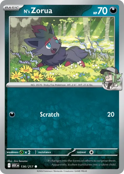 136 N's Zorua Ascended Heroes 2026 136 N's Zorua Ascended Heroes 2026