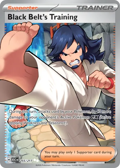255 Black Belt's Training Ascended Heroes 2026 255 Black Belt's Training Ascended Heroes 2026