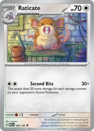 20 Raticate 151 2023