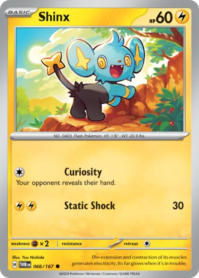 66 Shinx Twilight Masquerade 2024 66 Shinx Twilight Masquerade 2024