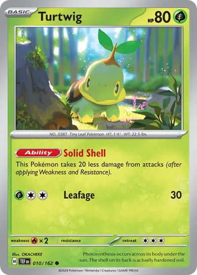 10 Turtwig Temporal Forces 2024