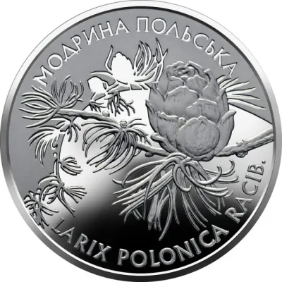 2 ₴ Модрина польська Монети НБУ 2001 2 ₴ Модрина польська Монети НБУ 2001