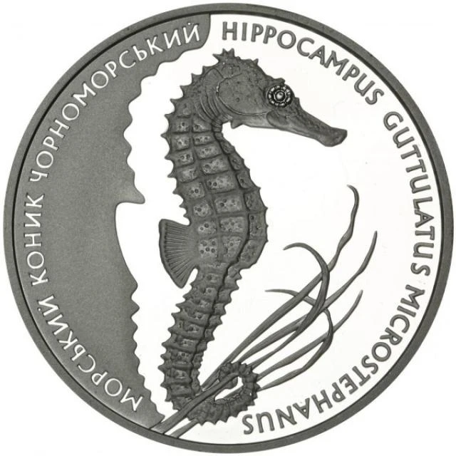 10 ₴ Морський коник (срібло) Срібні монети НБУ