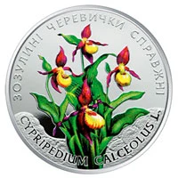 2 ₴ Зозулині черевички справжні Флора і фауна України