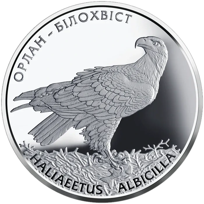 10 ₴ Орлан-білохвіст Срібні монети НБУ