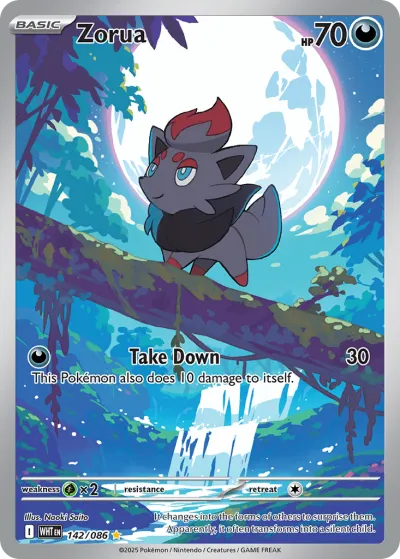 142 Zorua White Flare 2025 142 Zorua White Flare 2025