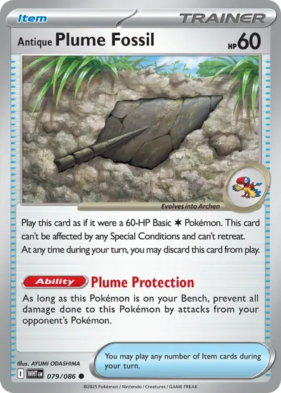 79 Antique Plume Fossil White Flare 2025 79 Antique Plume Fossil White Flare 2025