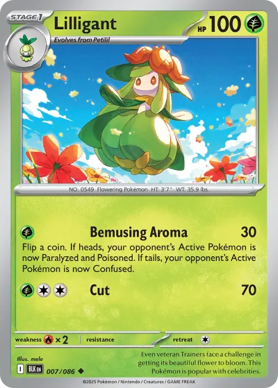 7 Lilligant Black Bolt 2025