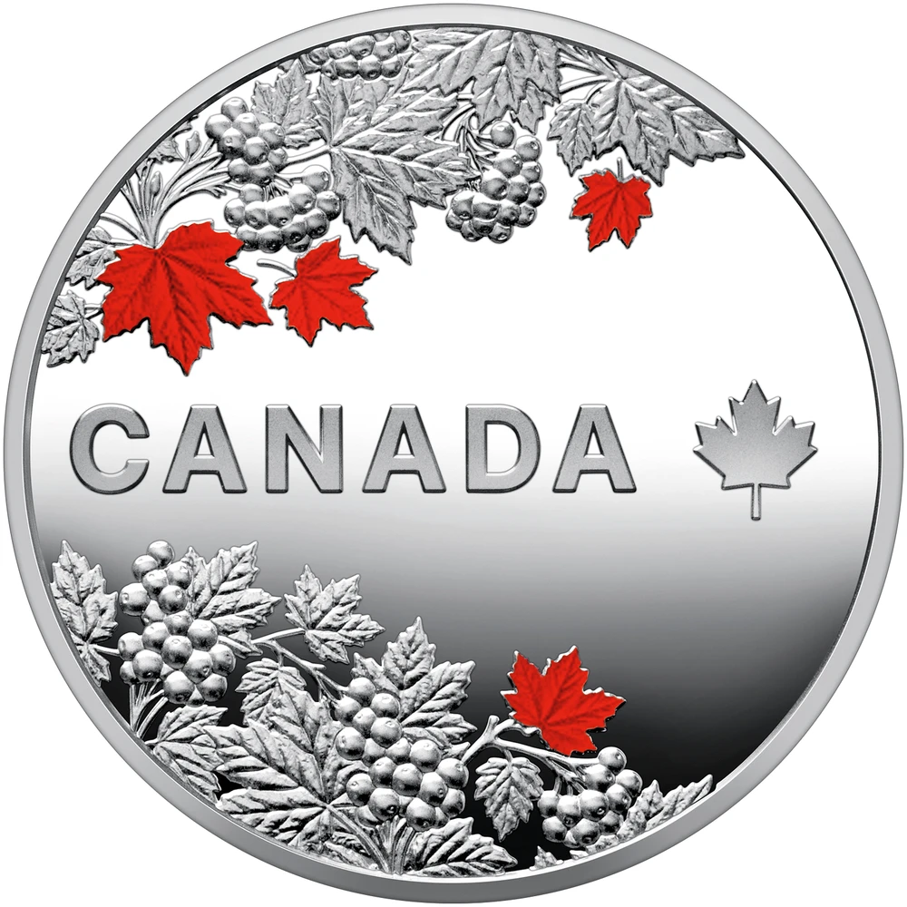 Реверс монети: напис CANADA, стилізований кленовий лист, червоне кленове листя